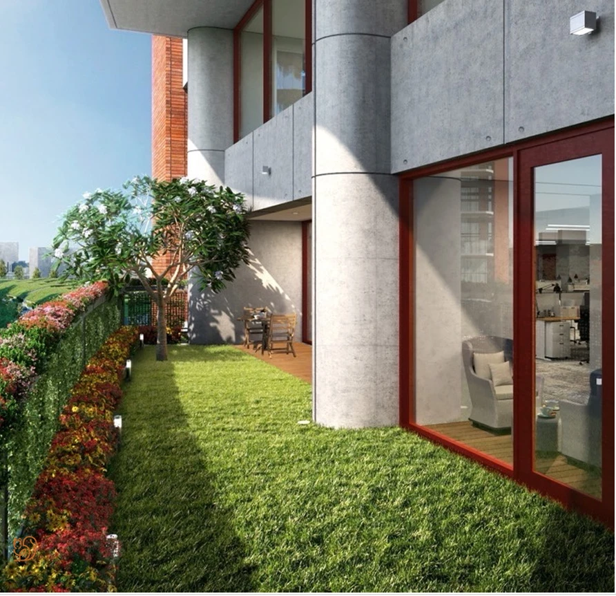 A garden terrace outside the office: lawn, flowering hedge, a frangipani tree and red-framed glass doors